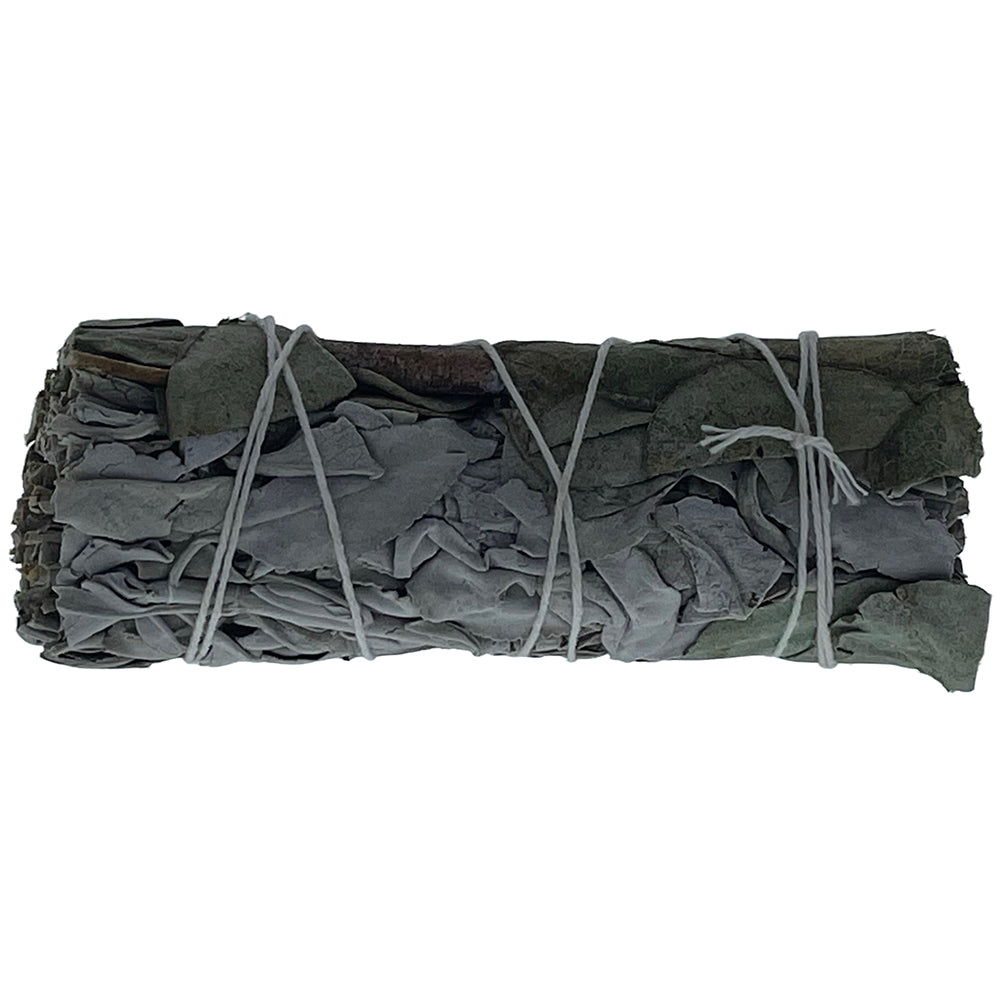 SAGE 4' EUCALUPTUS BABY