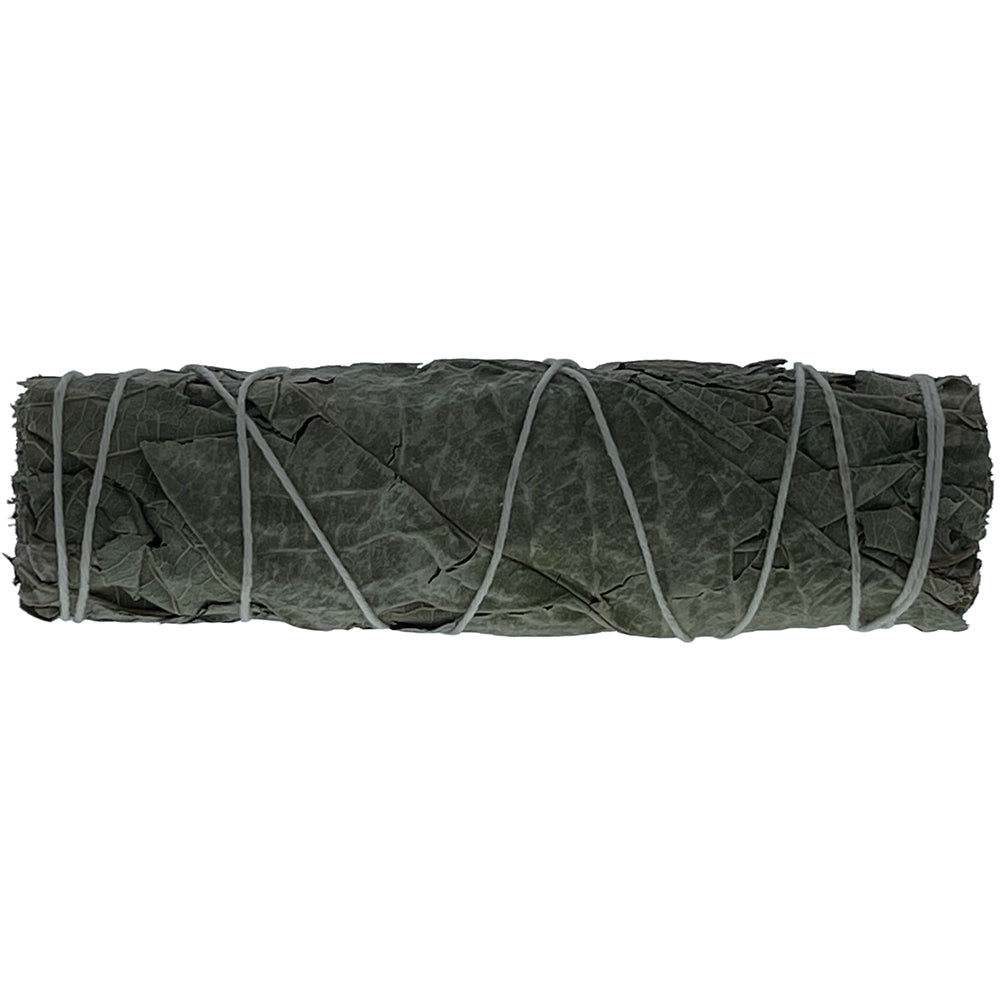 SAGE 4" GUAYABA LEAF