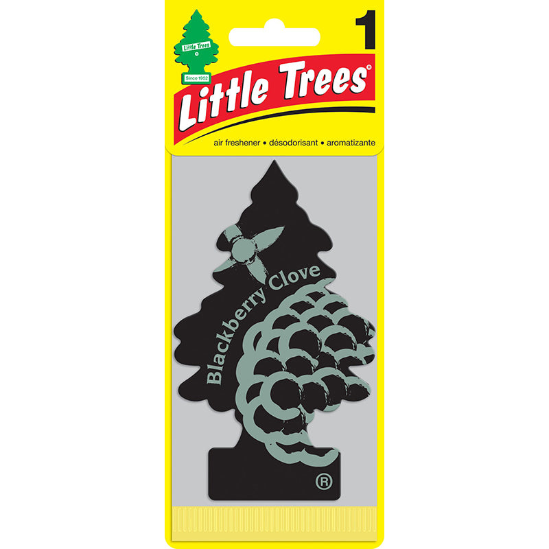 TREE 1PK BLACKBERRY CLOVE