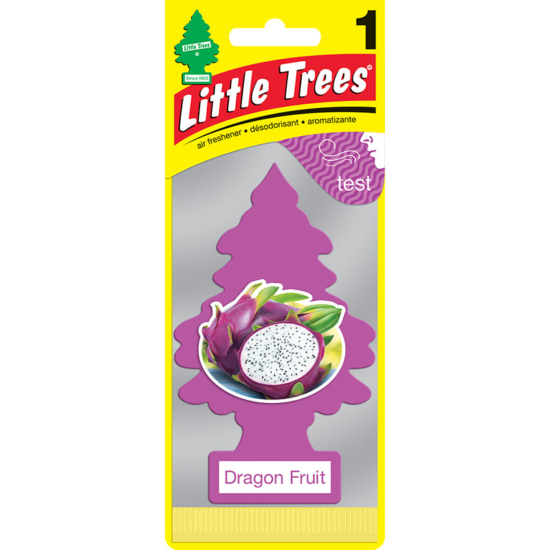 TREE 1PK DRAGON FRUIT
